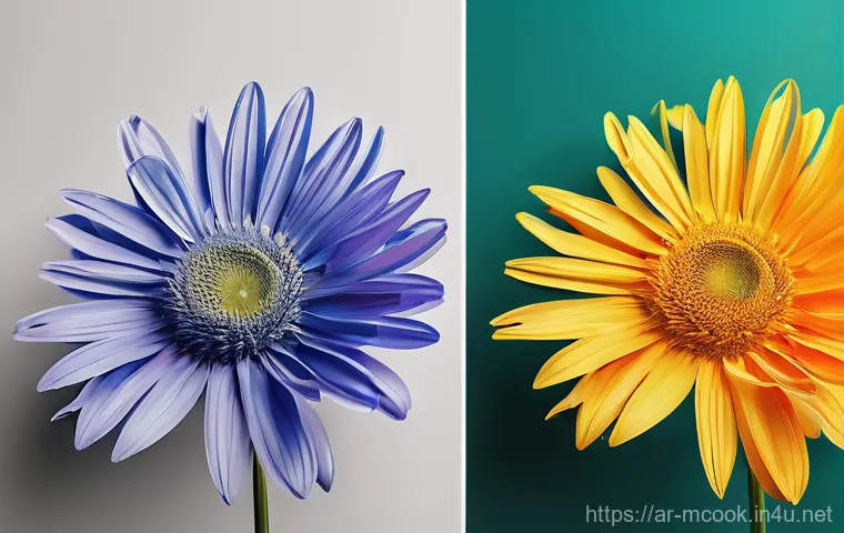 다문화 요리사와 요리 유튜브 채널 - Here are three detailed image generation prompts in English, designed to be 15+ appropriate and cult...